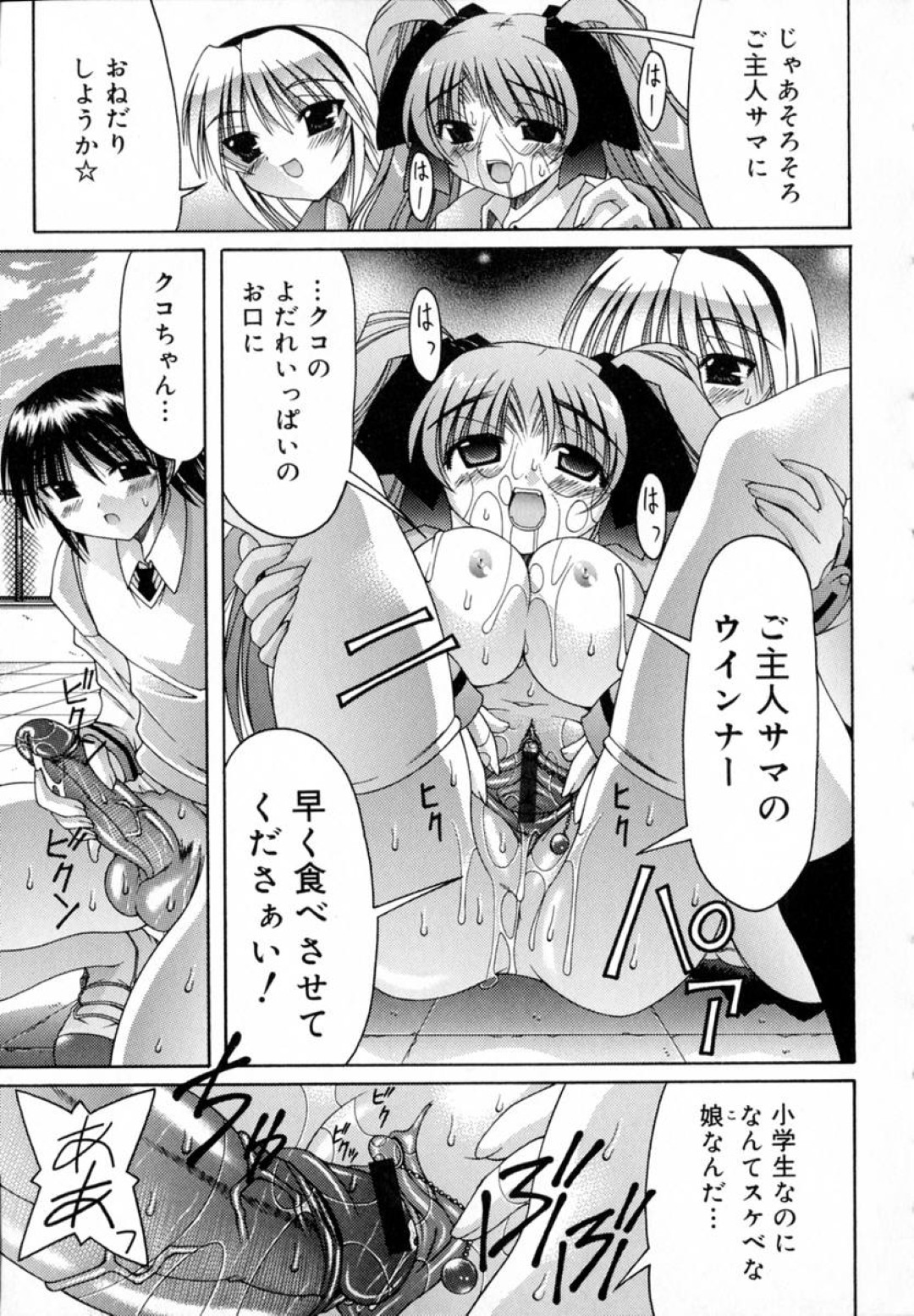 ご主人さまのペットになって調教されちゃうツインテールのお姉さん…バックや騎乗位で2穴同時挿入で生ハメ中出しセックスしちゃう 17ページ